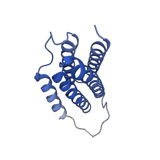 7436_6c9i_Q_v1-1
Single-Particle reconstruction of DARP14 - A designed protein scaffold displaying ~17kDa DARPin proteins - Scaffold