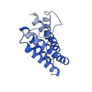 7436_6c9i_R_v1-1
Single-Particle reconstruction of DARP14 - A designed protein scaffold displaying ~17kDa DARPin proteins - Scaffold