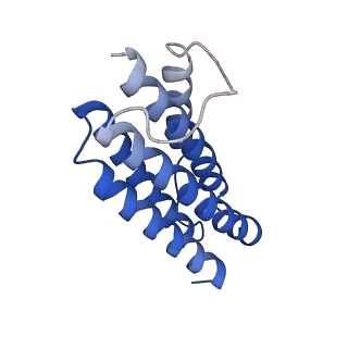 7436_6c9i_R_v1-2
Single-Particle reconstruction of DARP14 - A designed protein scaffold displaying ~17kDa DARPin proteins - Scaffold