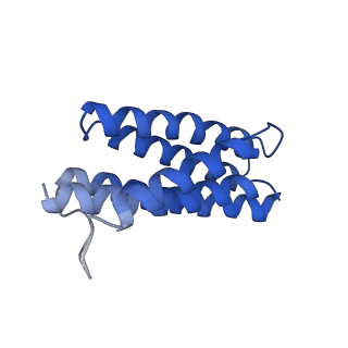 7436_6c9i_S_v1-1
Single-Particle reconstruction of DARP14 - A designed protein scaffold displaying ~17kDa DARPin proteins - Scaffold