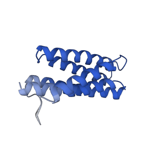 7436_6c9i_S_v1-2
Single-Particle reconstruction of DARP14 - A designed protein scaffold displaying ~17kDa DARPin proteins - Scaffold