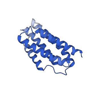 7436_6c9i_T_v1-1
Single-Particle reconstruction of DARP14 - A designed protein scaffold displaying ~17kDa DARPin proteins - Scaffold