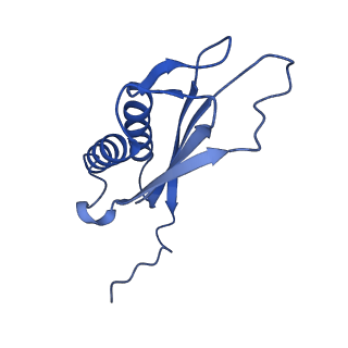 7436_6c9i_U_v1-2
Single-Particle reconstruction of DARP14 - A designed protein scaffold displaying ~17kDa DARPin proteins - Scaffold