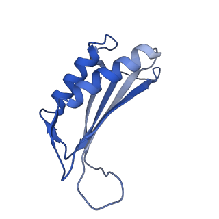 7436_6c9i_W_v1-1
Single-Particle reconstruction of DARP14 - A designed protein scaffold displaying ~17kDa DARPin proteins - Scaffold