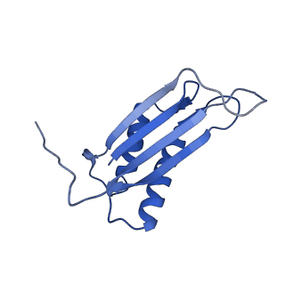 7436_6c9i_X_v1-1
Single-Particle reconstruction of DARP14 - A designed protein scaffold displaying ~17kDa DARPin proteins - Scaffold