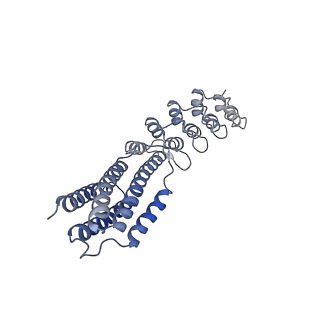 7437_6c9k_A_v1-1
Single-Particle reconstruction of DARP14 - A designed protein scaffold displaying ~17kDa DARPin proteins