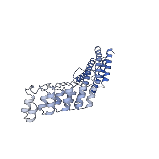 7437_6c9k_B_v1-1
Single-Particle reconstruction of DARP14 - A designed protein scaffold displaying ~17kDa DARPin proteins