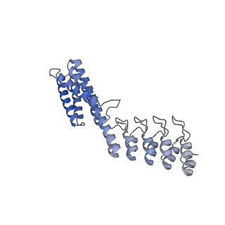 7437_6c9k_C_v1-1
Single-Particle reconstruction of DARP14 - A designed protein scaffold displaying ~17kDa DARPin proteins