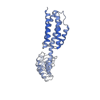 7437_6c9k_D_v1-1
Single-Particle reconstruction of DARP14 - A designed protein scaffold displaying ~17kDa DARPin proteins