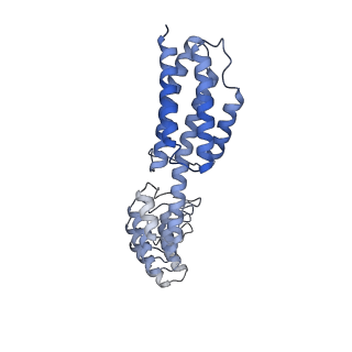 7437_6c9k_D_v1-2
Single-Particle reconstruction of DARP14 - A designed protein scaffold displaying ~17kDa DARPin proteins