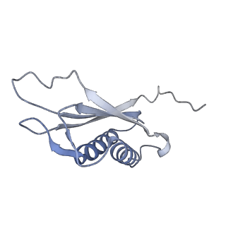 7437_6c9k_E_v1-2
Single-Particle reconstruction of DARP14 - A designed protein scaffold displaying ~17kDa DARPin proteins