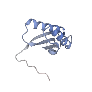 7437_6c9k_F_v1-1
Single-Particle reconstruction of DARP14 - A designed protein scaffold displaying ~17kDa DARPin proteins