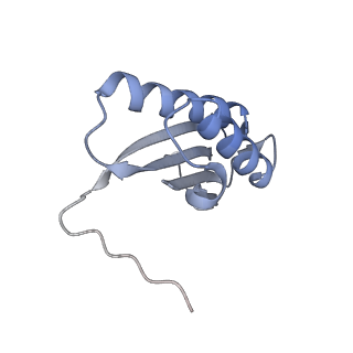 7437_6c9k_F_v1-2
Single-Particle reconstruction of DARP14 - A designed protein scaffold displaying ~17kDa DARPin proteins