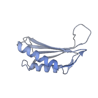 7437_6c9k_G_v1-1
Single-Particle reconstruction of DARP14 - A designed protein scaffold displaying ~17kDa DARPin proteins