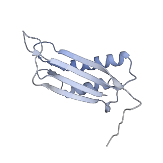 7437_6c9k_H_v1-1
Single-Particle reconstruction of DARP14 - A designed protein scaffold displaying ~17kDa DARPin proteins