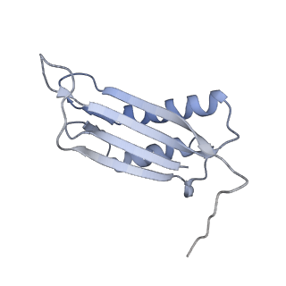 7437_6c9k_H_v1-2
Single-Particle reconstruction of DARP14 - A designed protein scaffold displaying ~17kDa DARPin proteins