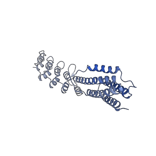 7437_6c9k_I_v1-1
Single-Particle reconstruction of DARP14 - A designed protein scaffold displaying ~17kDa DARPin proteins