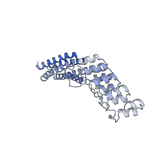 7437_6c9k_J_v1-1
Single-Particle reconstruction of DARP14 - A designed protein scaffold displaying ~17kDa DARPin proteins