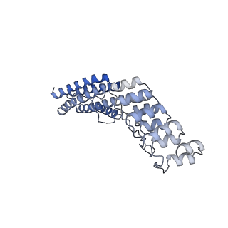 7437_6c9k_J_v1-2
Single-Particle reconstruction of DARP14 - A designed protein scaffold displaying ~17kDa DARPin proteins