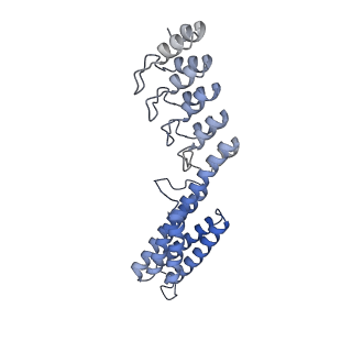 7437_6c9k_K_v1-1
Single-Particle reconstruction of DARP14 - A designed protein scaffold displaying ~17kDa DARPin proteins