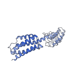 7437_6c9k_L_v1-1
Single-Particle reconstruction of DARP14 - A designed protein scaffold displaying ~17kDa DARPin proteins