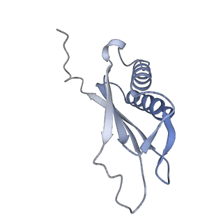 7437_6c9k_M_v1-2
Single-Particle reconstruction of DARP14 - A designed protein scaffold displaying ~17kDa DARPin proteins