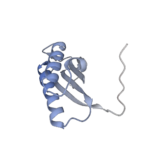 7437_6c9k_N_v1-1
Single-Particle reconstruction of DARP14 - A designed protein scaffold displaying ~17kDa DARPin proteins