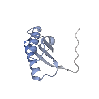 7437_6c9k_N_v1-2
Single-Particle reconstruction of DARP14 - A designed protein scaffold displaying ~17kDa DARPin proteins