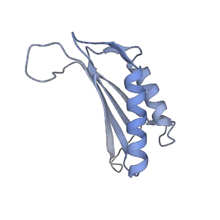 7437_6c9k_O_v1-1
Single-Particle reconstruction of DARP14 - A designed protein scaffold displaying ~17kDa DARPin proteins