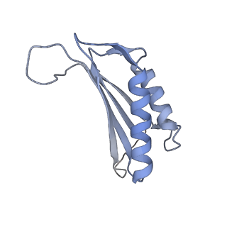 7437_6c9k_O_v1-2
Single-Particle reconstruction of DARP14 - A designed protein scaffold displaying ~17kDa DARPin proteins