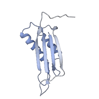 7437_6c9k_P_v1-1
Single-Particle reconstruction of DARP14 - A designed protein scaffold displaying ~17kDa DARPin proteins