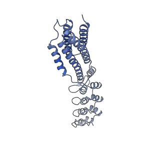 7437_6c9k_Q_v1-1
Single-Particle reconstruction of DARP14 - A designed protein scaffold displaying ~17kDa DARPin proteins