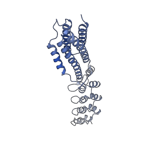 7437_6c9k_Q_v1-2
Single-Particle reconstruction of DARP14 - A designed protein scaffold displaying ~17kDa DARPin proteins