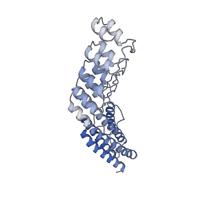 7437_6c9k_R_v1-1
Single-Particle reconstruction of DARP14 - A designed protein scaffold displaying ~17kDa DARPin proteins