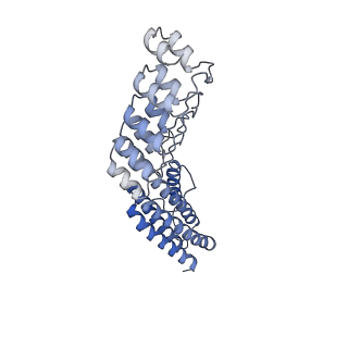 7437_6c9k_R_v1-2
Single-Particle reconstruction of DARP14 - A designed protein scaffold displaying ~17kDa DARPin proteins