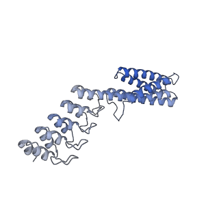 7437_6c9k_S_v1-1
Single-Particle reconstruction of DARP14 - A designed protein scaffold displaying ~17kDa DARPin proteins