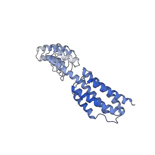 7437_6c9k_T_v1-1
Single-Particle reconstruction of DARP14 - A designed protein scaffold displaying ~17kDa DARPin proteins