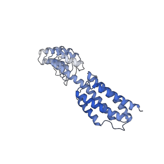 7437_6c9k_T_v1-2
Single-Particle reconstruction of DARP14 - A designed protein scaffold displaying ~17kDa DARPin proteins