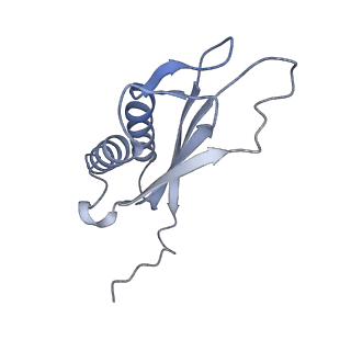 7437_6c9k_U_v1-1
Single-Particle reconstruction of DARP14 - A designed protein scaffold displaying ~17kDa DARPin proteins
