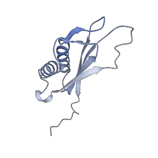 7437_6c9k_U_v1-2
Single-Particle reconstruction of DARP14 - A designed protein scaffold displaying ~17kDa DARPin proteins