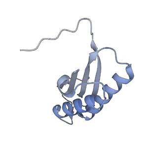7437_6c9k_V_v1-1
Single-Particle reconstruction of DARP14 - A designed protein scaffold displaying ~17kDa DARPin proteins