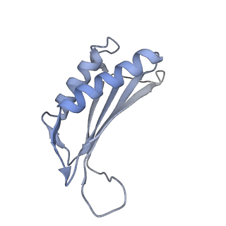 7437_6c9k_W_v1-1
Single-Particle reconstruction of DARP14 - A designed protein scaffold displaying ~17kDa DARPin proteins