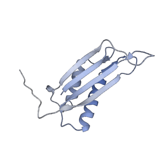 7437_6c9k_X_v1-2
Single-Particle reconstruction of DARP14 - A designed protein scaffold displaying ~17kDa DARPin proteins