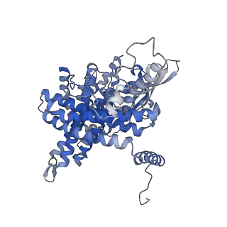 16515_8ca1_A_v1-3
Cryo-EM structure of the ACADVL dimer from Mus musculus.