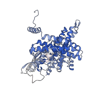 16515_8ca1_B_v1-3
Cryo-EM structure of the ACADVL dimer from Mus musculus.