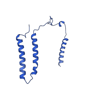 16516_8ca3_A_v1-3
Cryo-EM structure NDUFS4 knockout complex I from Mus musculus heart (Class 2).