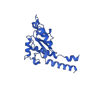 16516_8ca3_B_v1-3
Cryo-EM structure NDUFS4 knockout complex I from Mus musculus heart (Class 2).