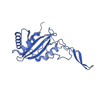 16516_8ca3_C_v1-3
Cryo-EM structure NDUFS4 knockout complex I from Mus musculus heart (Class 2).