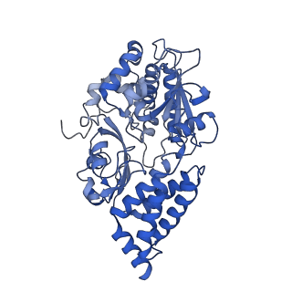 16516_8ca3_F_v1-3
Cryo-EM structure NDUFS4 knockout complex I from Mus musculus heart (Class 2).