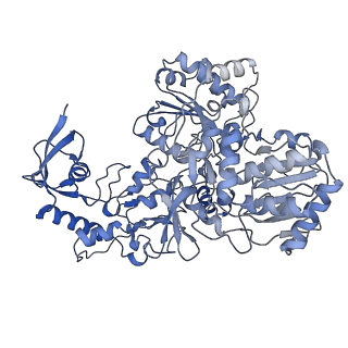 16516_8ca3_G_v1-3
Cryo-EM structure NDUFS4 knockout complex I from Mus musculus heart (Class 2).